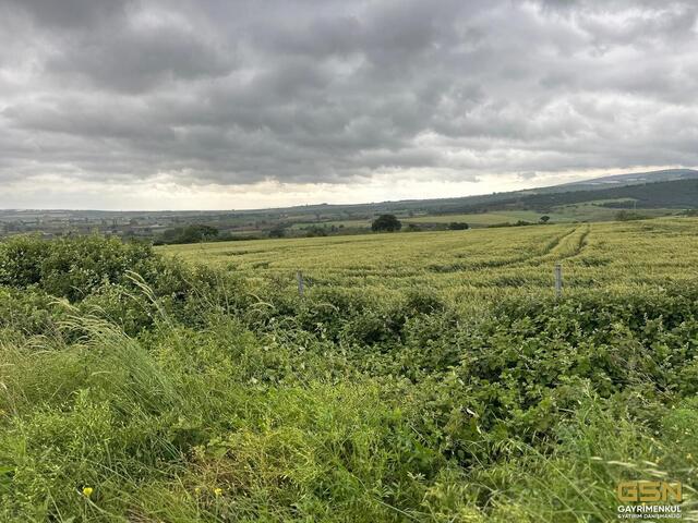 37-GSN GAYRİMENKUL'DEN AVRUPA STANDARTLARINDA RUHSATLI BESİÇİFTLİĞİ